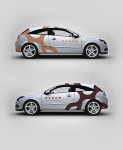 covering voiture